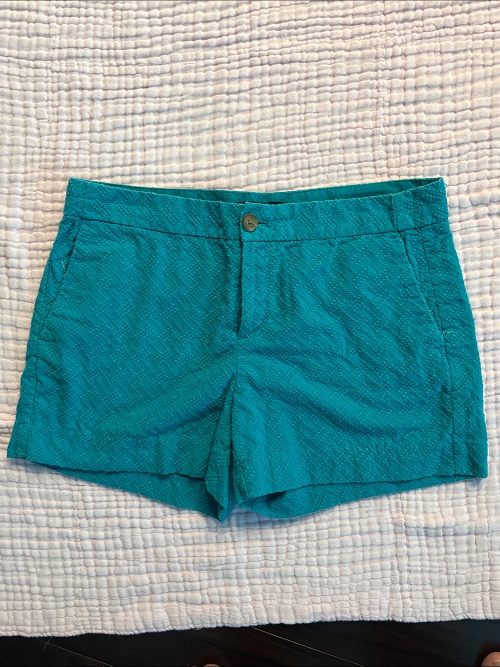 Banana Republic Textured turquoise Women's Shorts